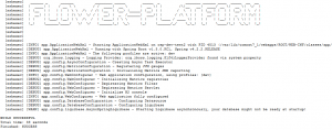 Log-ul procesului de build & deploy, care se termina cu lansarea (cu succes) a aplicatiei generate.
